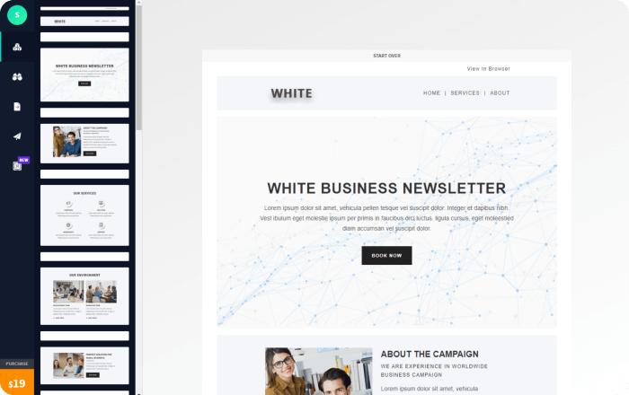 white responsive email newsletter
