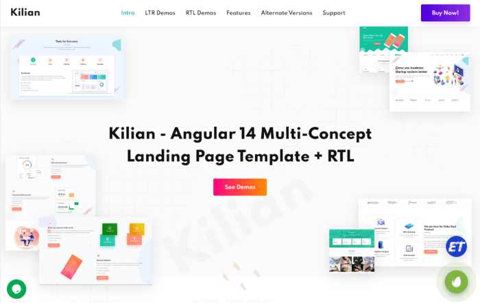 Kilian - Angular 14 Multipurpose Landing Page Template